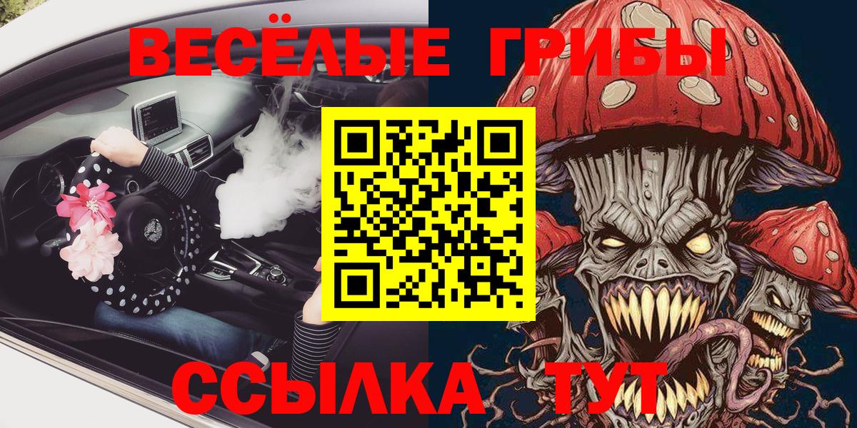 Псилоцибиновые грибы Cubensis  Вход с VPN  Пенза 